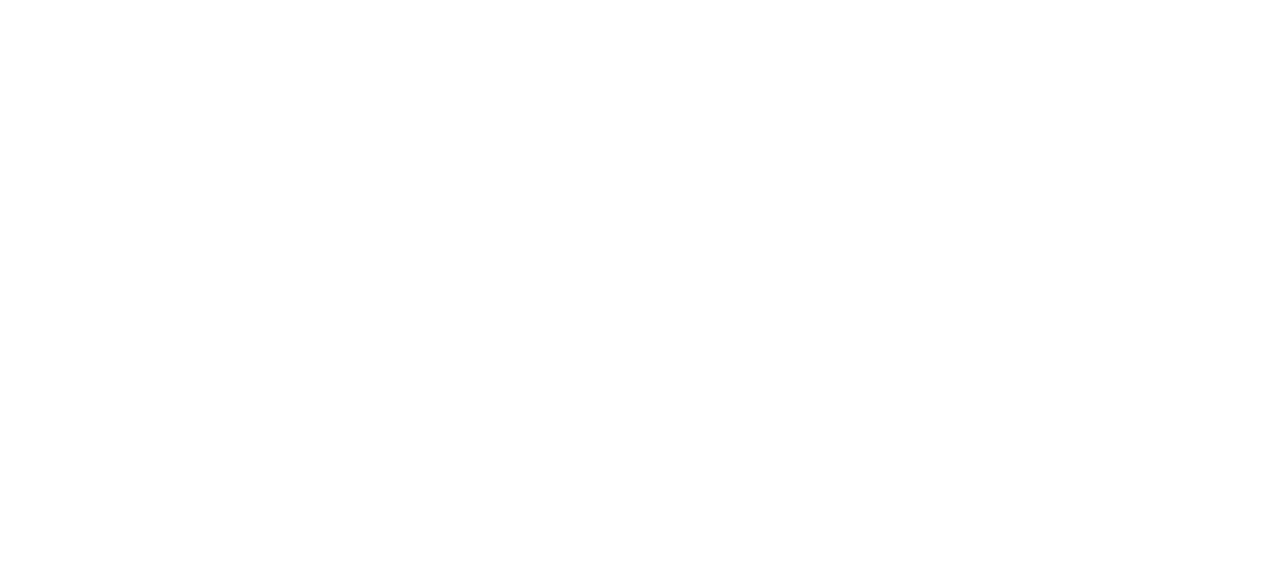 logo-image