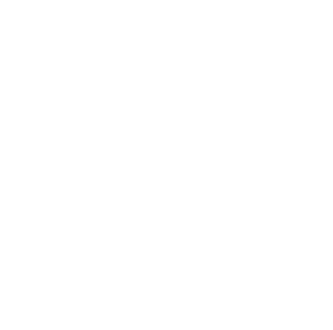Michaelis Agency