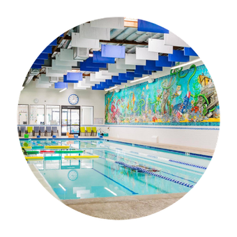 A large indoor swimming pool with a mural on the wall