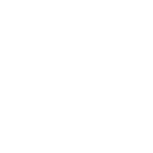 Aguilas International Technical Institute Logo