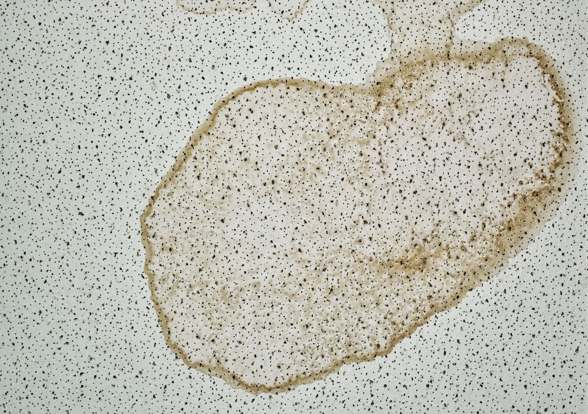 A white tile with a brown stain on it
