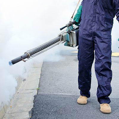 Insect Control- Dedetização e Hidráulica