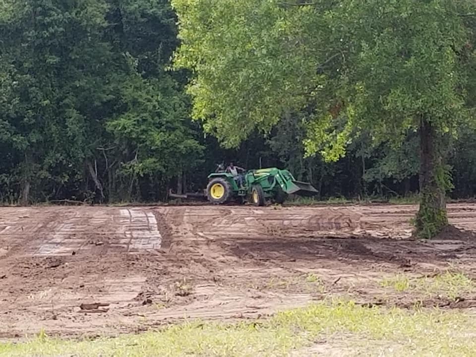 herringtons mobile home land clearing