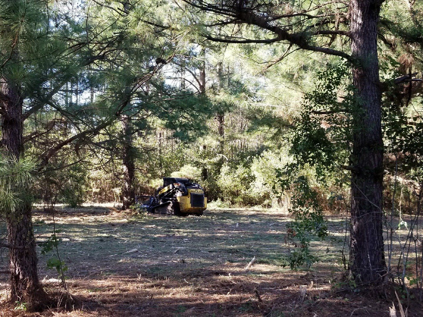 herringtons mobile home land clearing