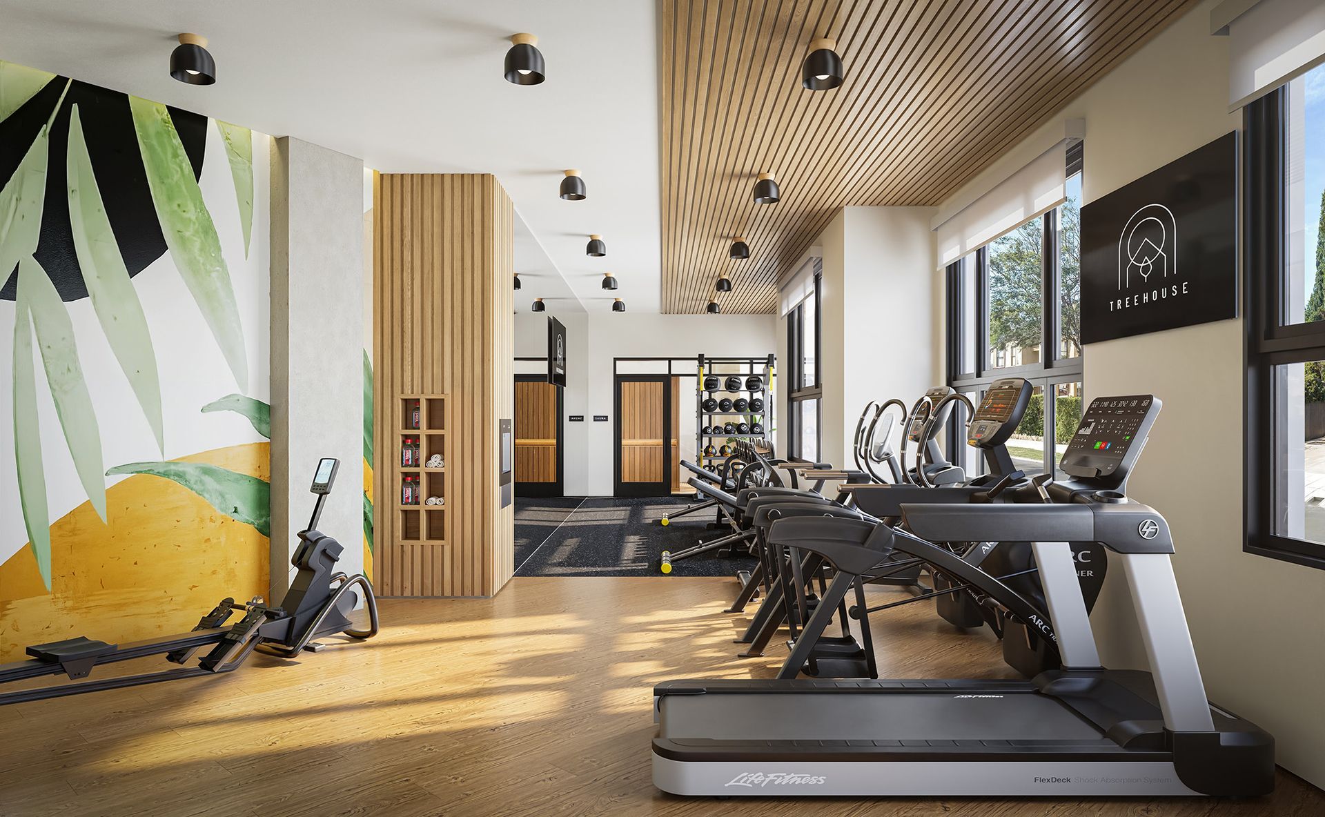 Modern gym with treadmills, rowing machine, weights, and artwork on the walls and ceiling.