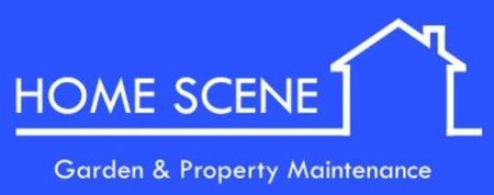 Home Scene logo