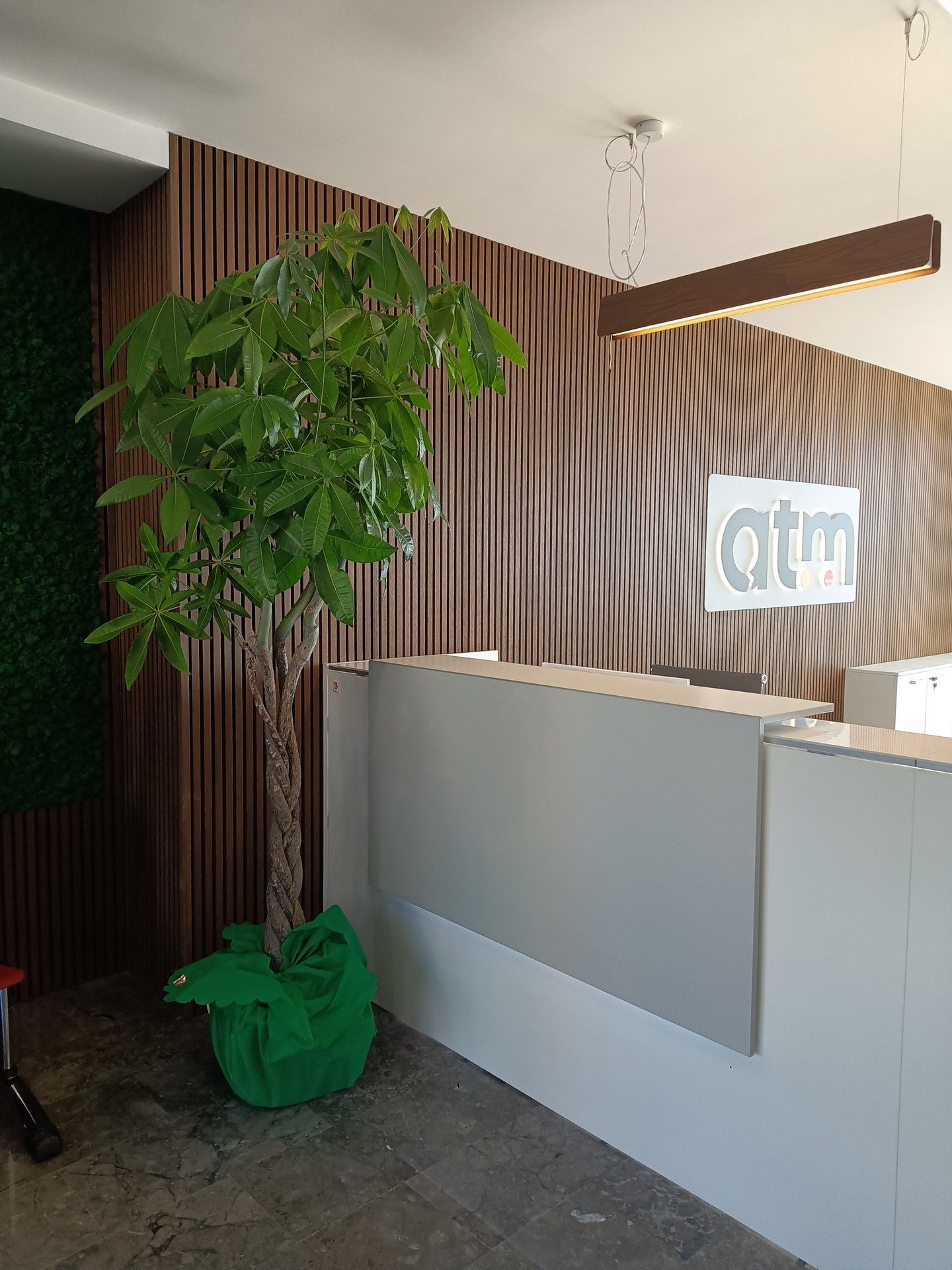 Un banco della reception con un albero di fronte.