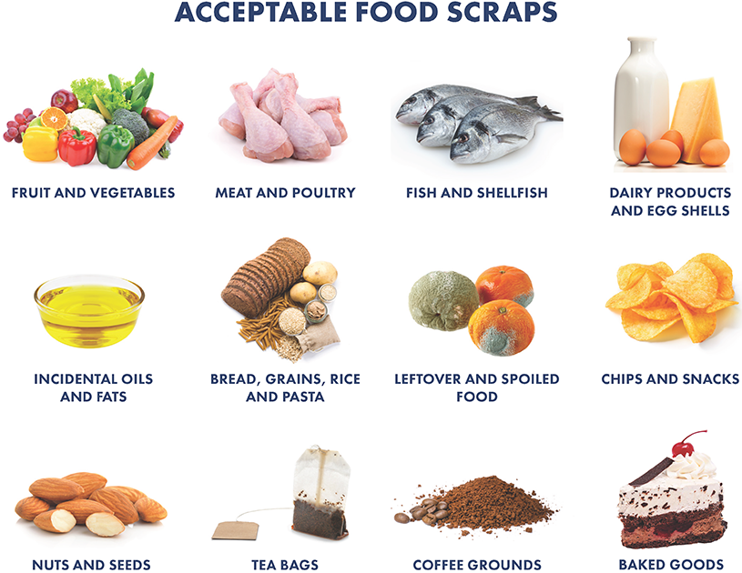 Food Scraps List of materials accepted in an organics recycling program.