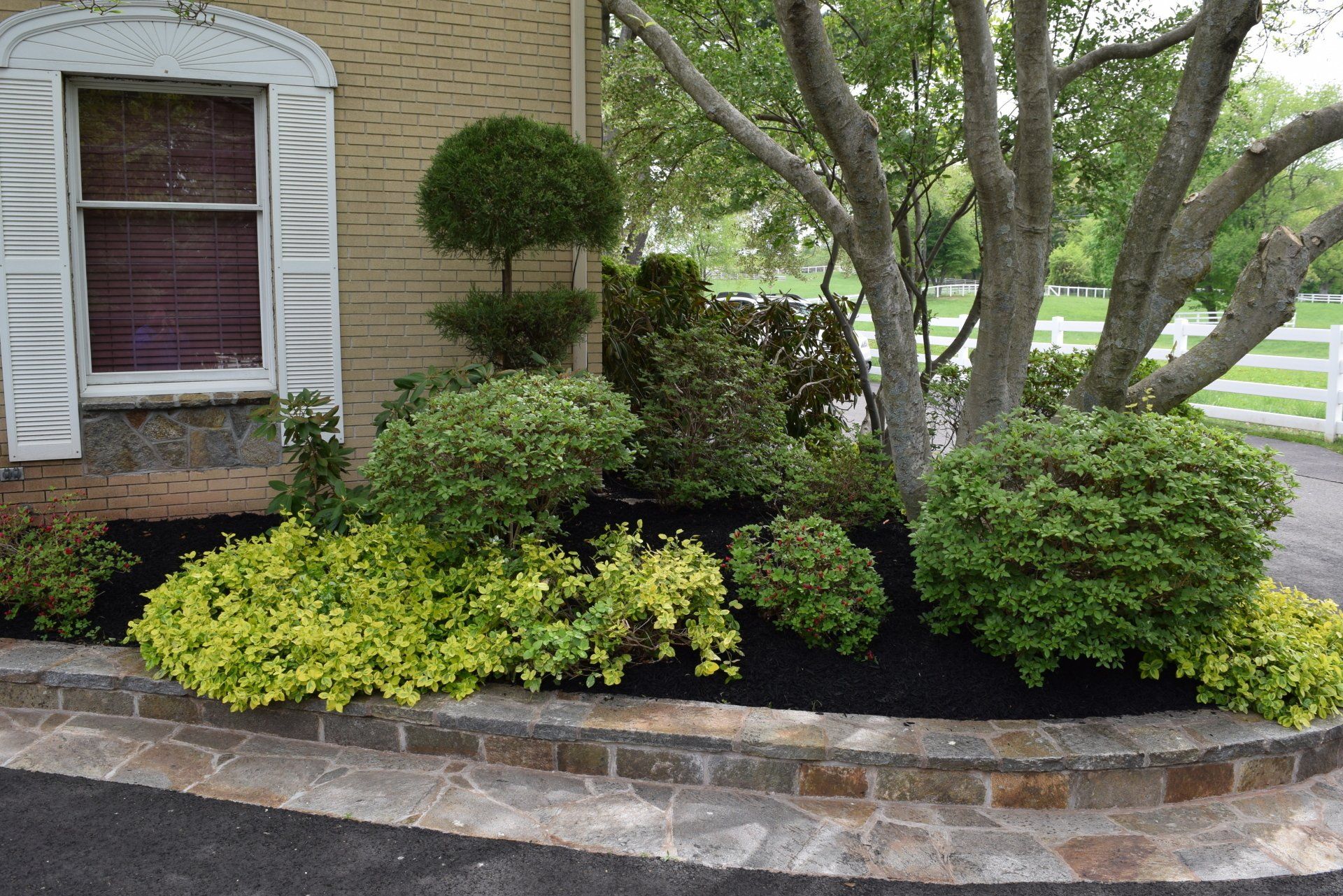 All American Waste Decorative Wood Chips