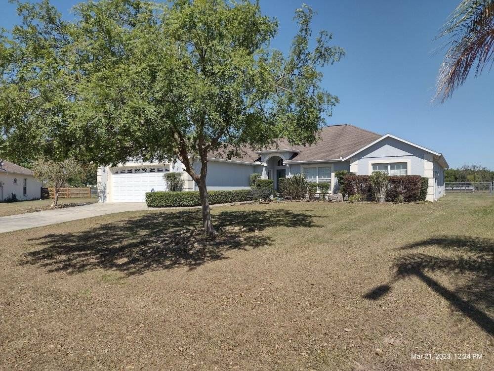 House with a large tree in front.  Brown grass and blue sky.