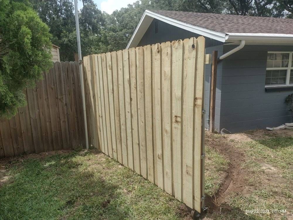 Wooden fences, new and old, form a backyard boundary. A gray house is in the background.