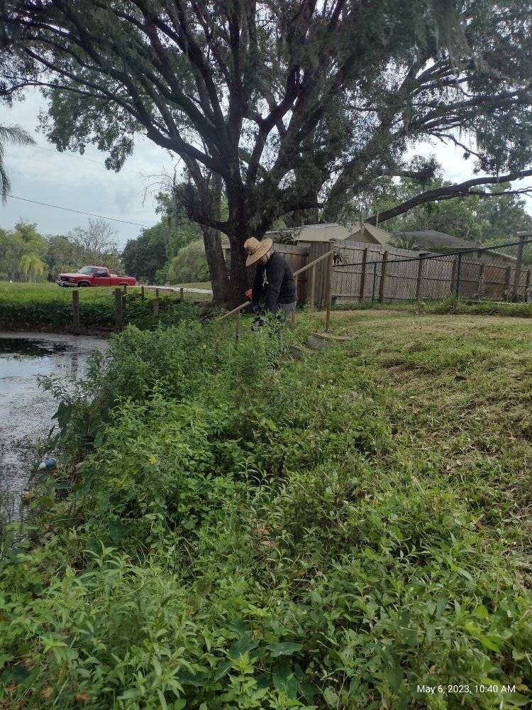 Person with straw hat works near a pond's edge with tall grass. Overcast day.