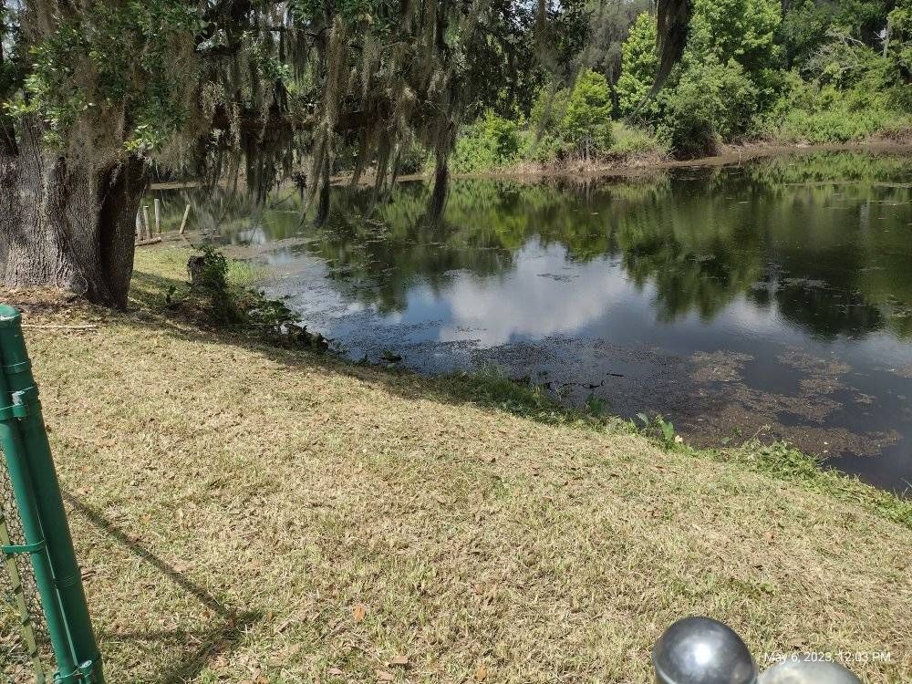 Grassy bank next to a still pond reflecting trees and sky. Green fence in the foreground.
