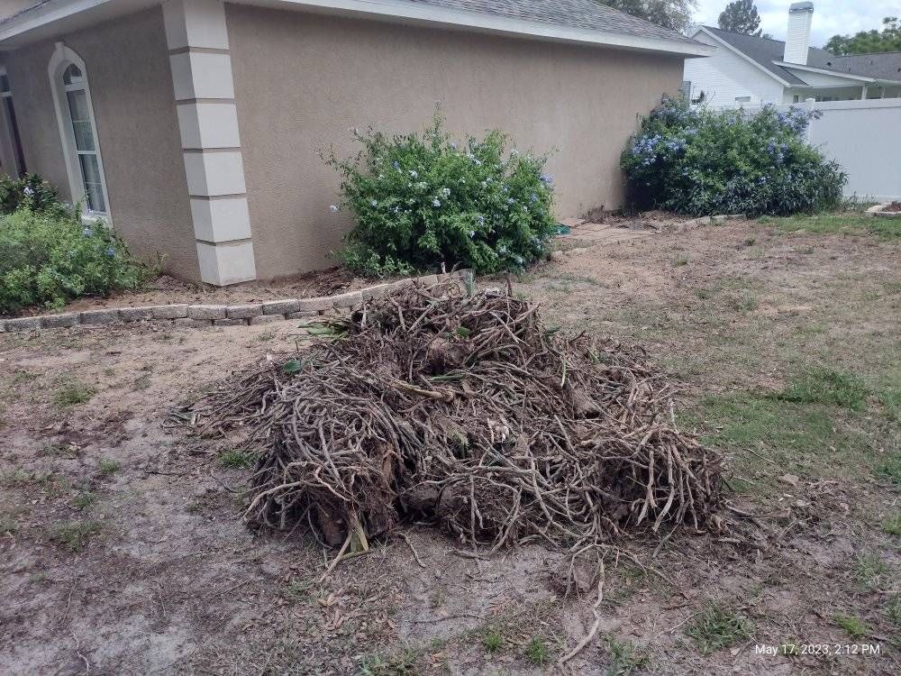 Pile of roots and dirt on a yard, near a house with shrubbery.