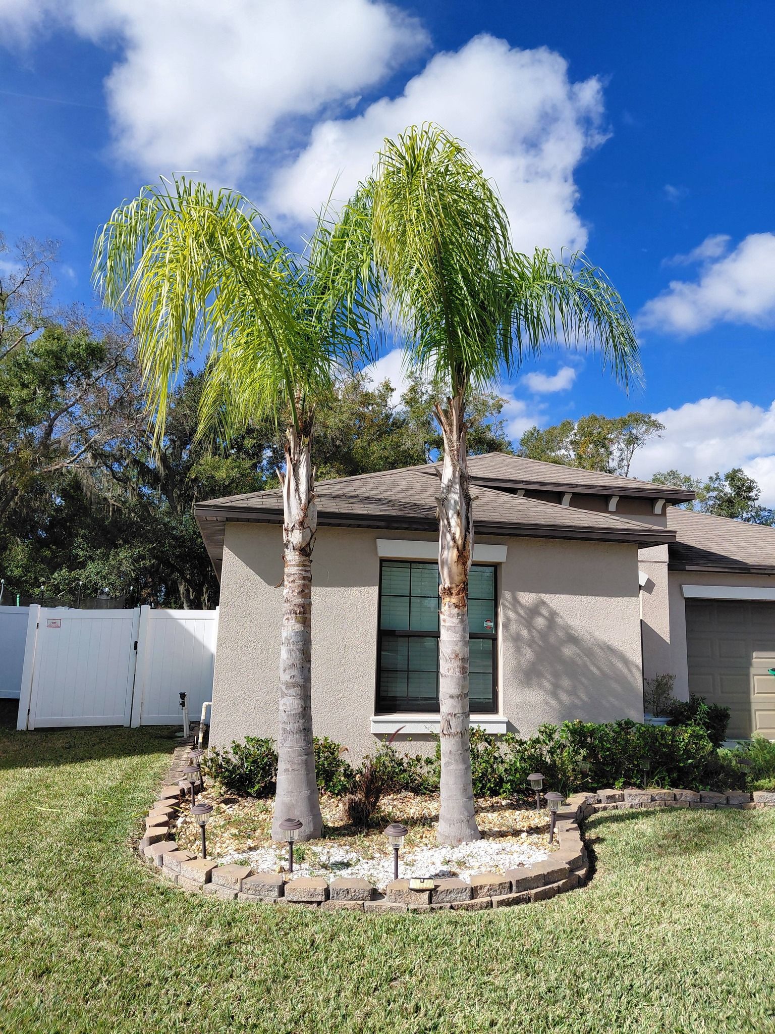 Two tall palm trees flank a light-colored house with a dark roof and window, on a sunny day.