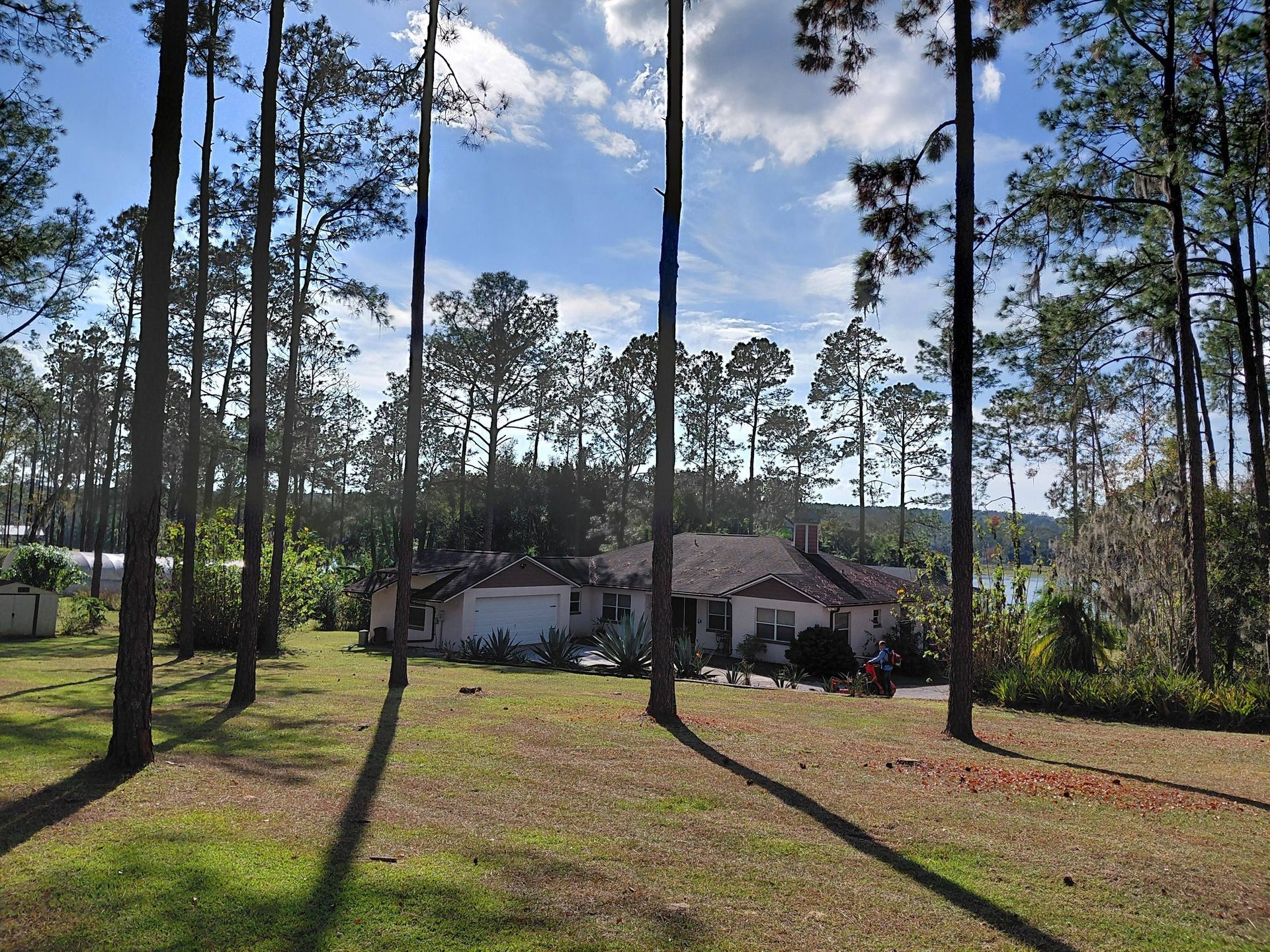 House nestled among tall pine trees with a grassy lawn, under a partly cloudy sky.