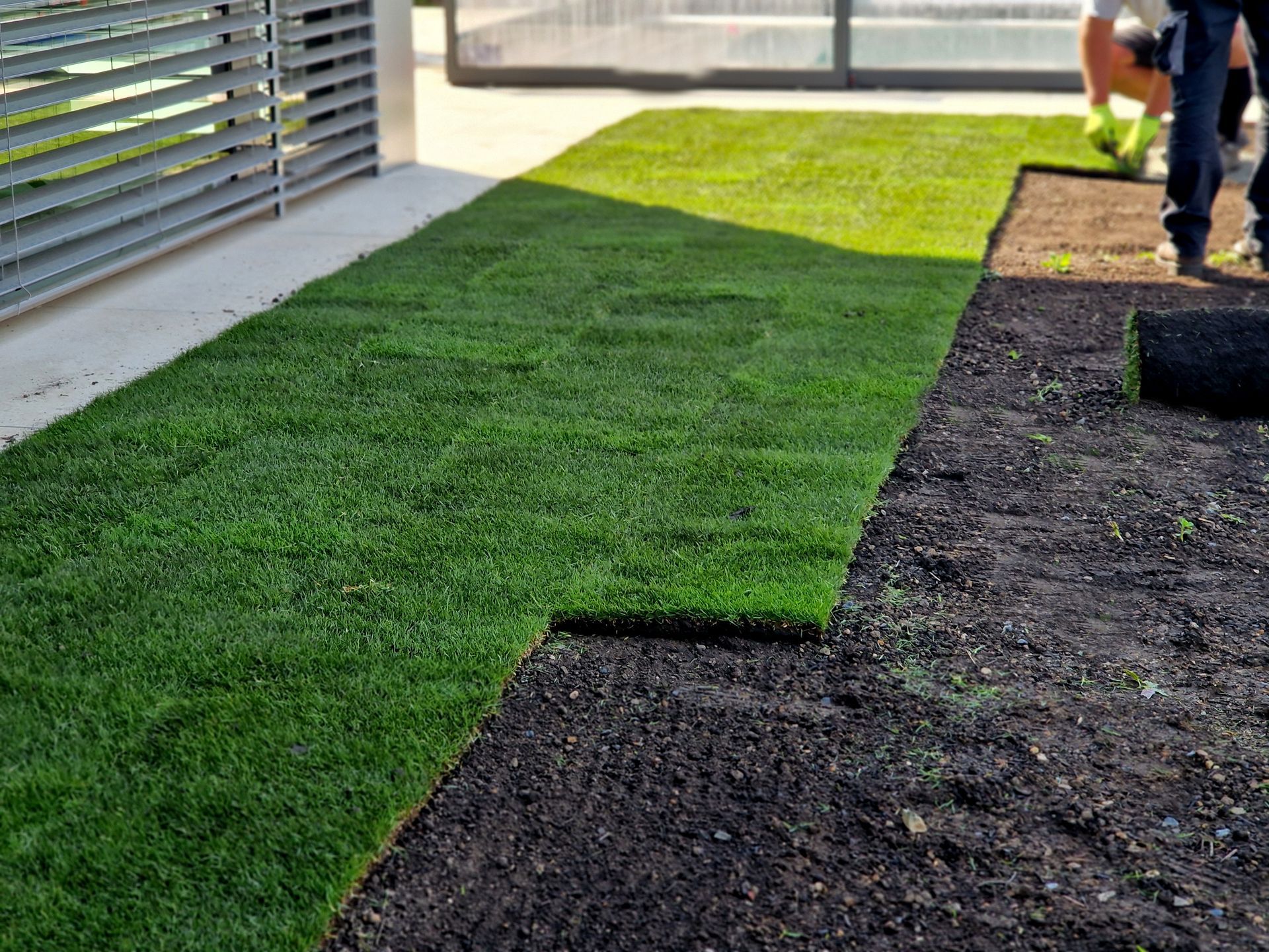 Laying sod. Fresh green grass contrasts dark soil. Person installing grass near a building.
