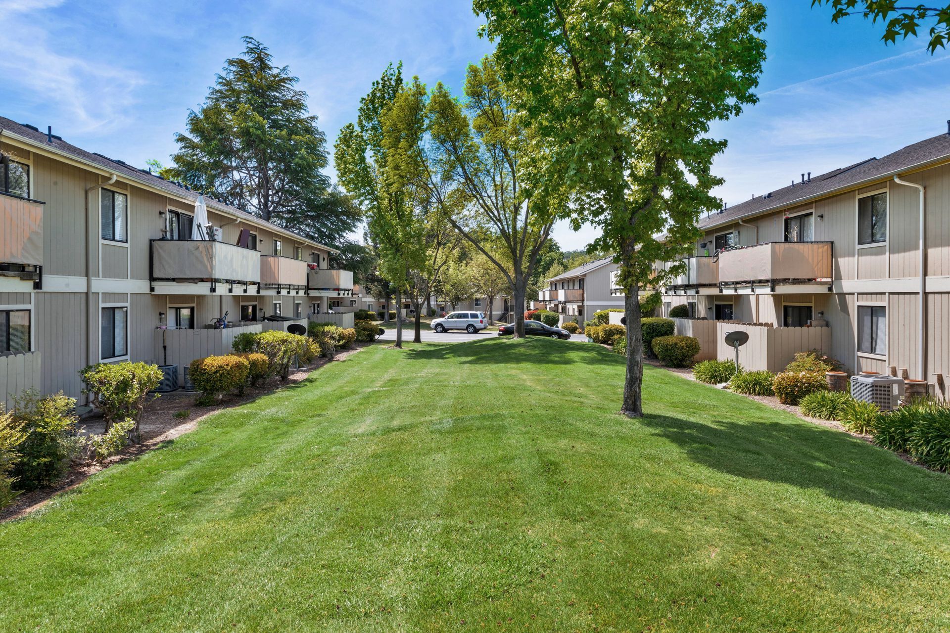Lush green lawn and trees separate townhouses with balconies on a sunny day.