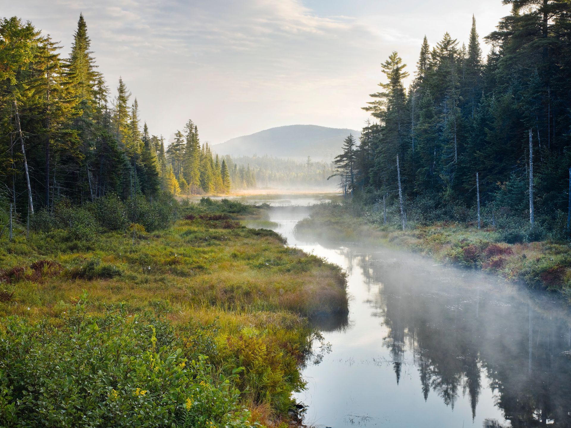 giant-mountain-wilderness