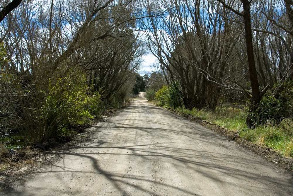 A Dirt Road Going Through a Forest With Trees on Both Sides — Tuggerah Lakes Glass In Berkeley Vale, NSW