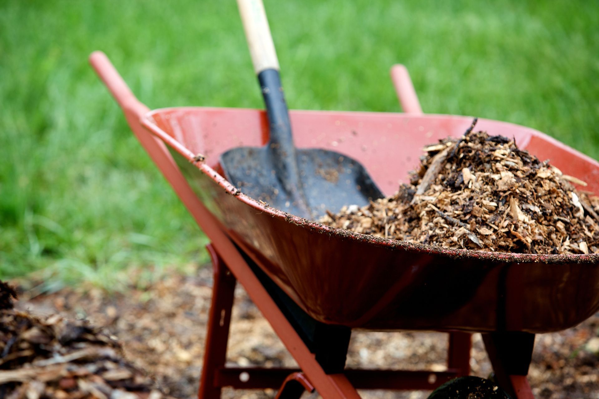 A red wheelbarrow containing a pile of mulch and a shovel, positioned on grass.