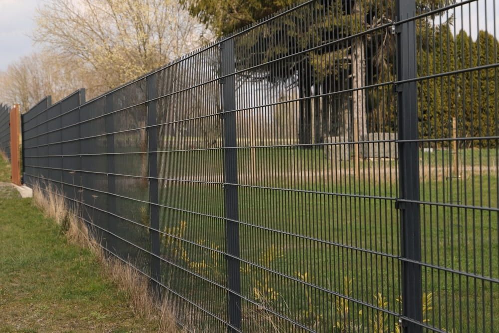 A Black Fence Surrounds a Grassy Field With Trees in the Background — Fencing Around Town Townsville in Garbutt, QLD