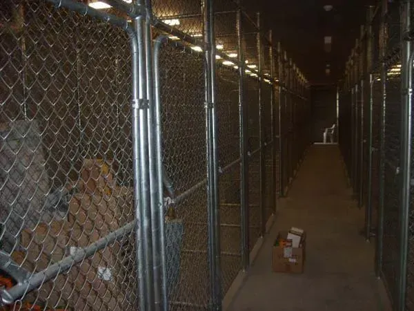 A Long Hallway Filled with Chain Link Fences and Boxes  — Fencing Around Town Townsville in Garbutt, QLD