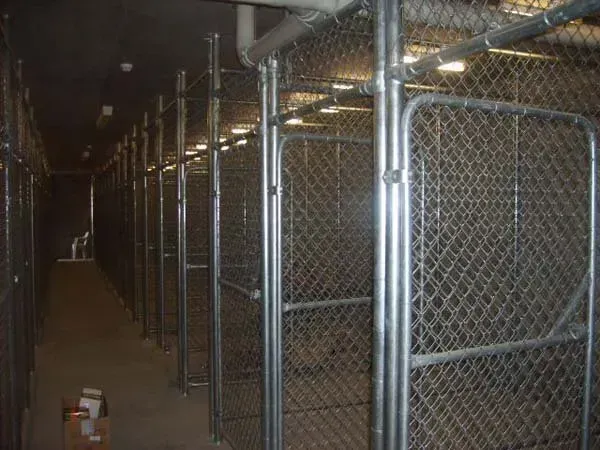 A Row of Chain Link Fences in A Dark Room  — Fencing Around Town Townsville in Garbutt, QLD