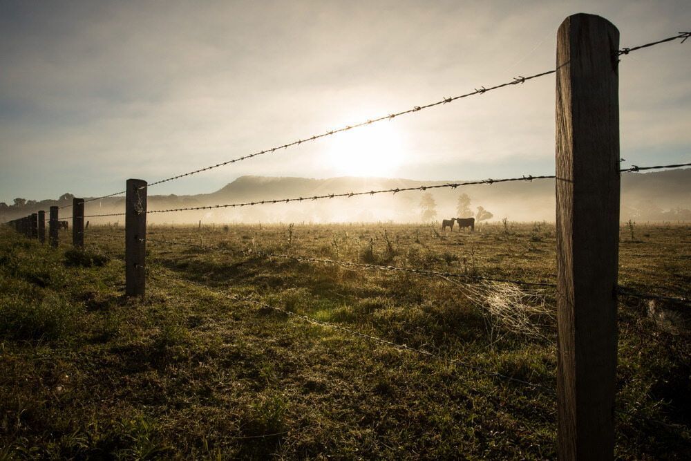 A Barbed Wire Fence Surrounds a Foggy Field — Fencing Around Town Townsville in Garbutt, QLD