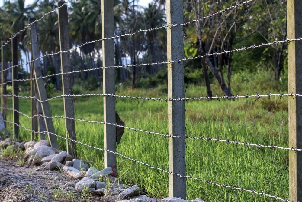 A Barbed Wire Fence Surrounds a Grassy Field — Fencing Around Town Townsville in Garbutt, QLD