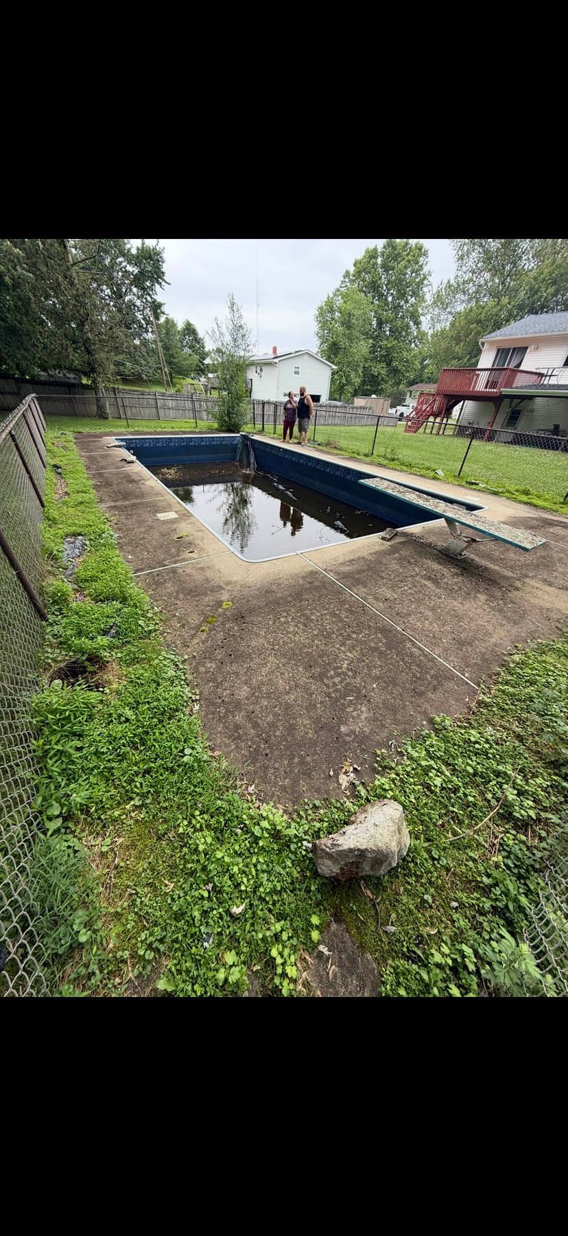 An abandoned, algae-filled rectangular swimming pool surrounded by overgrown grass and a chain-link fence.