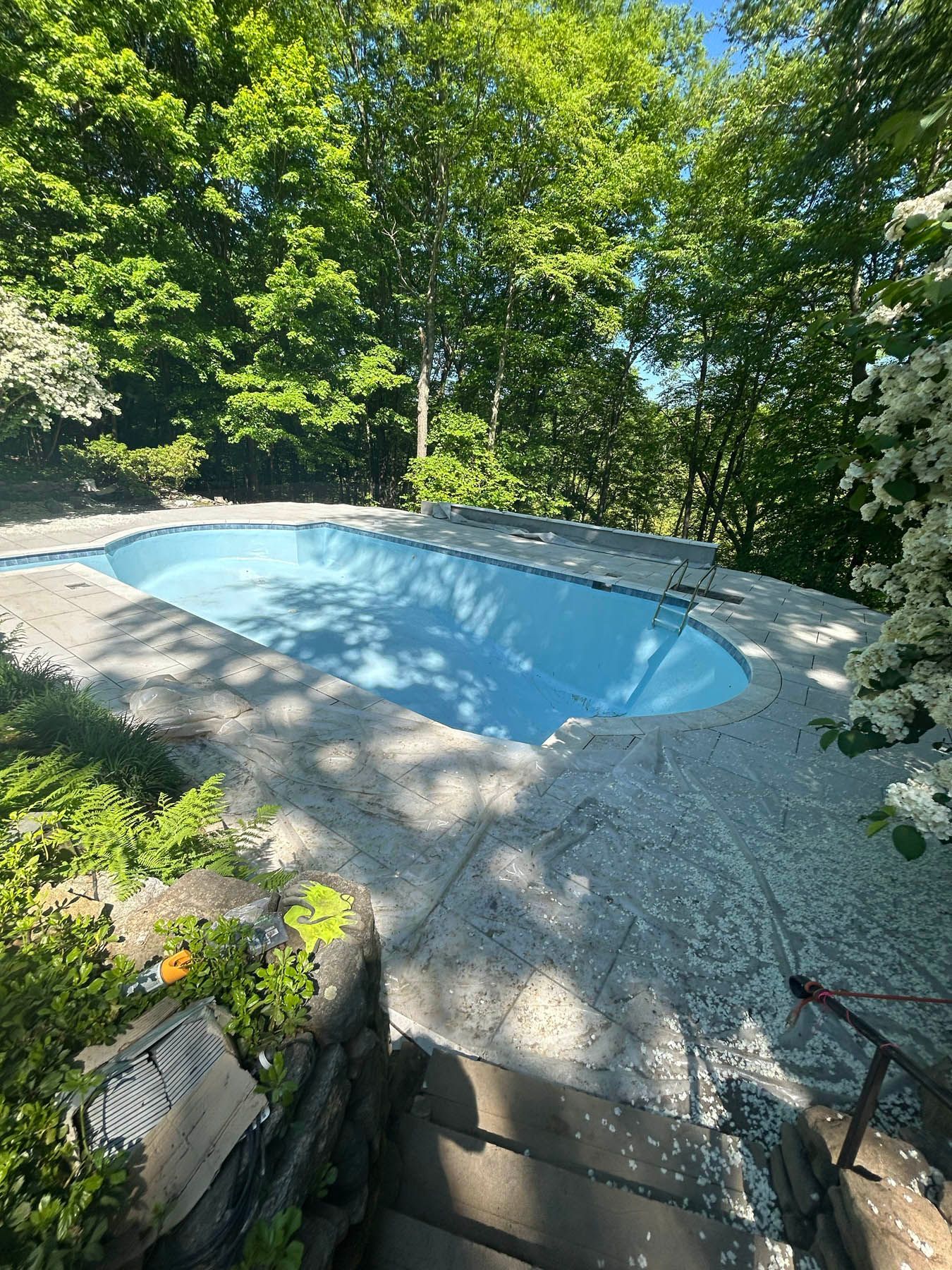 Pool with blue water surrounded by concrete, steps, and greenery in a wooded setting.