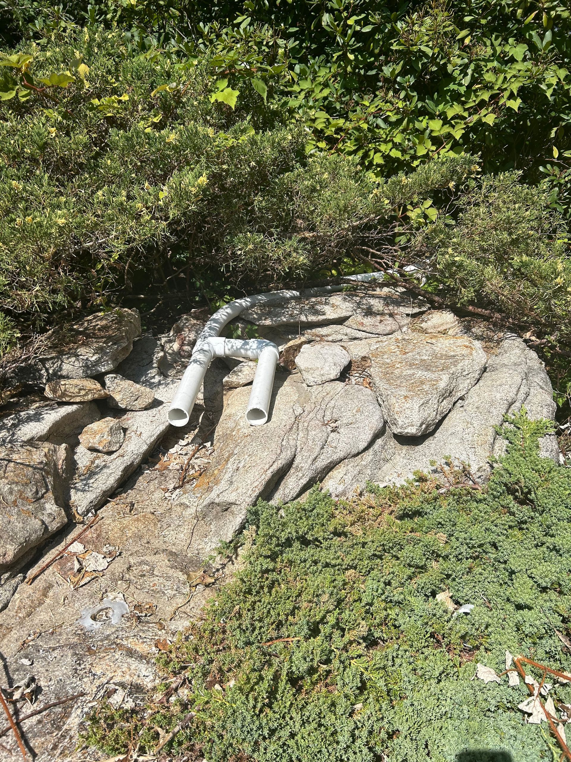 White PVC pipes on a large rock among green foliage. Two vertical pipes protrude.