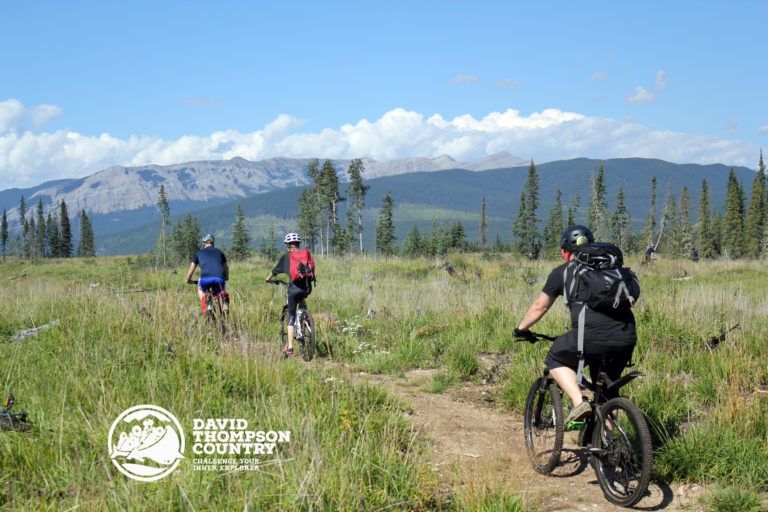 A group of people are riding bikes on a trail in a field.