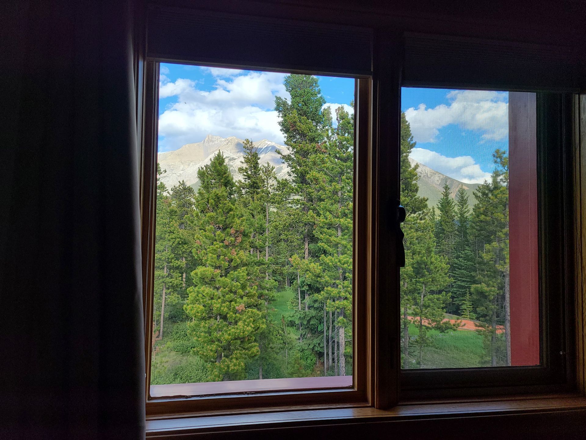 A window with a view of a mountain and trees.