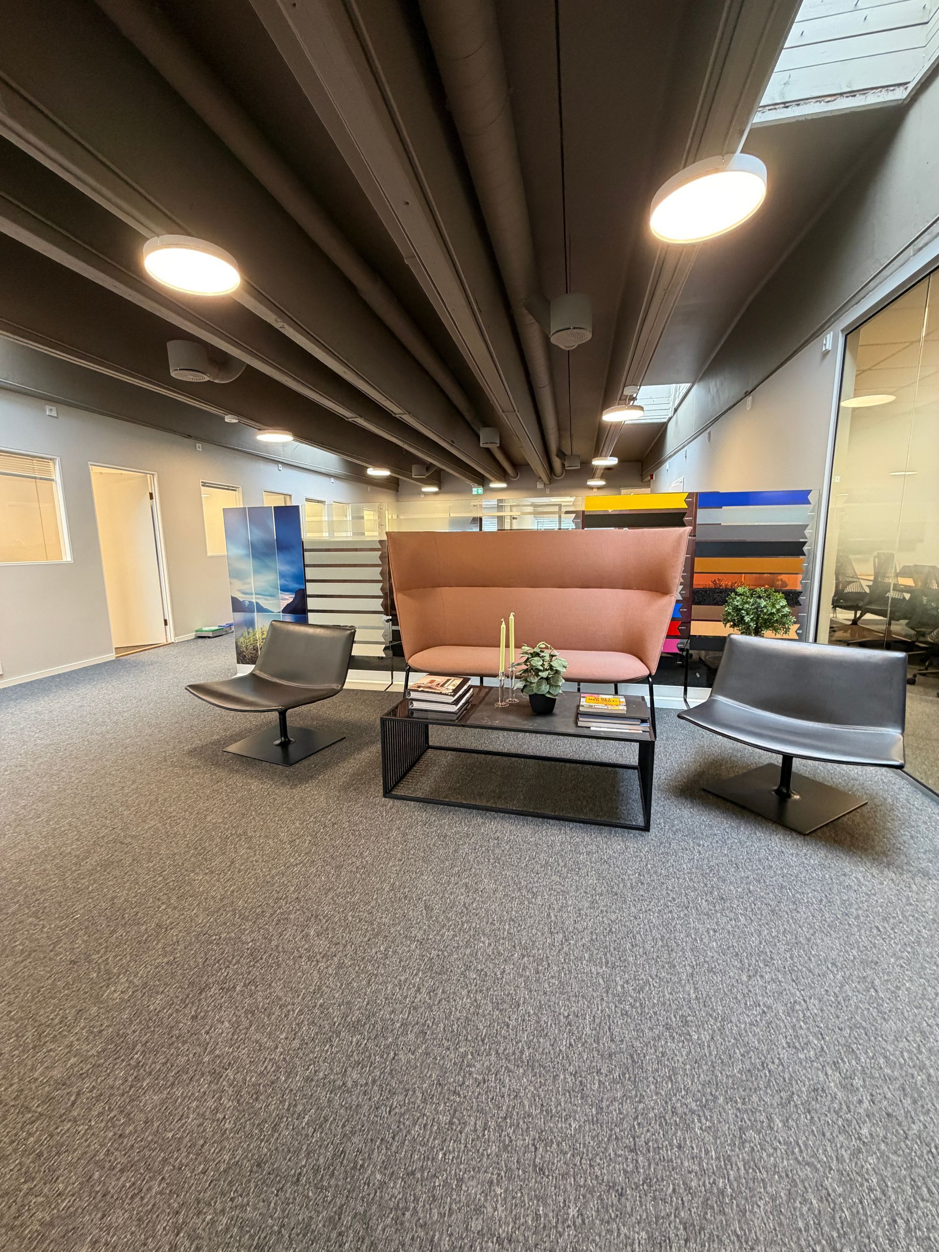 Professor Birkelands vei 24