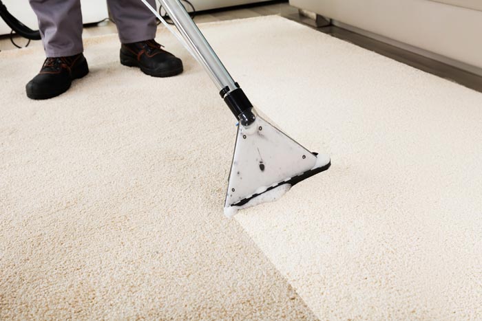 Before and After Carpet Cleaning — Piedmont, SD — Collins Carpet Cleaning