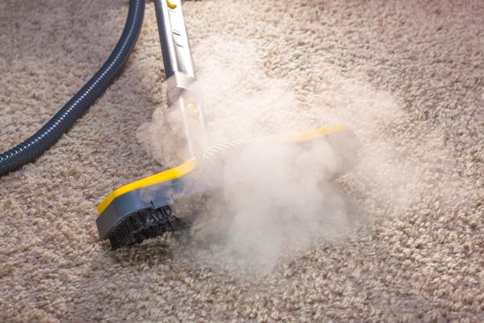 Steam Cleaning Carpet — Piedmont, SD — Collins Carpet Cleaning