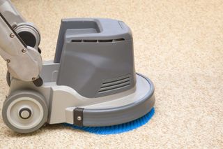 Large Carpet Cleaner — Piedmont, SD — Collins Carpet Cleaning