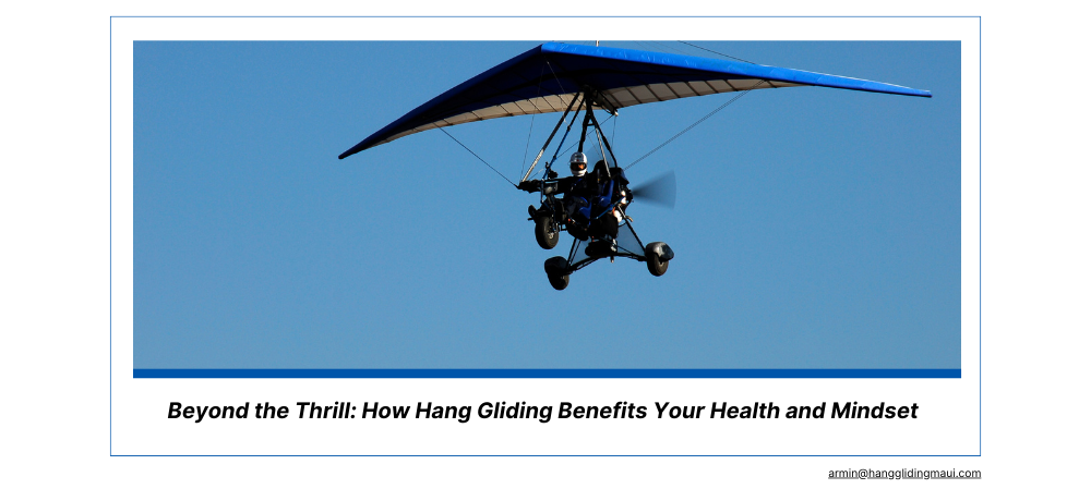 A powered hang glider soaring in a clear blue sky. The hang glider has a dark blue wing and a small motor.
