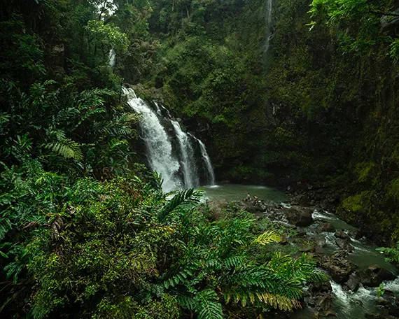Waterfall cascading into a pool of water surrounded by lush, green vegetation in a tropical setting.
