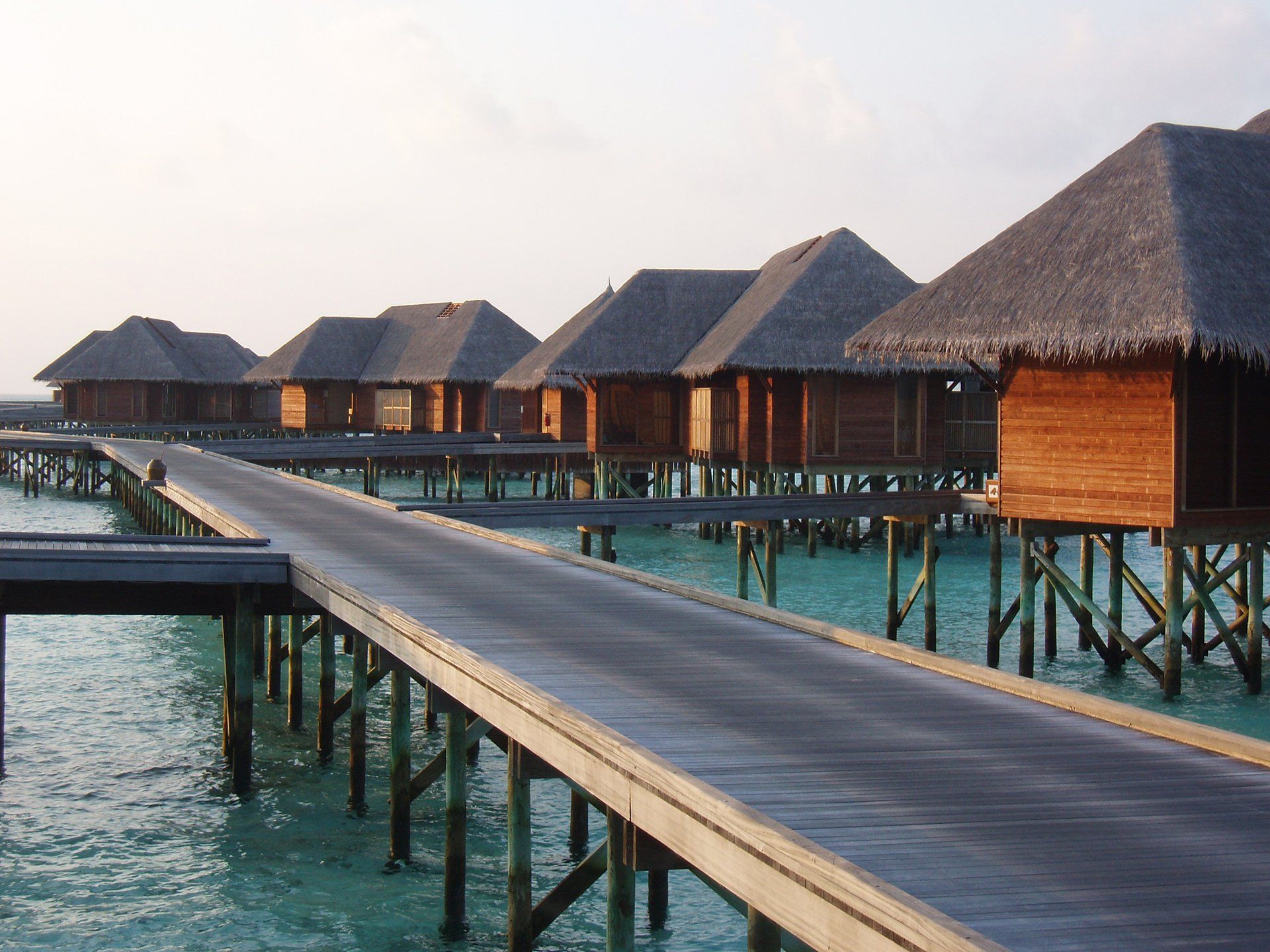 Flight Timbers Resort Contracts are suppliers of the highest quality buildings and products for the resort and kitset housing markets. We have access to significant supplies of sustainable Radiata Pine forestry.