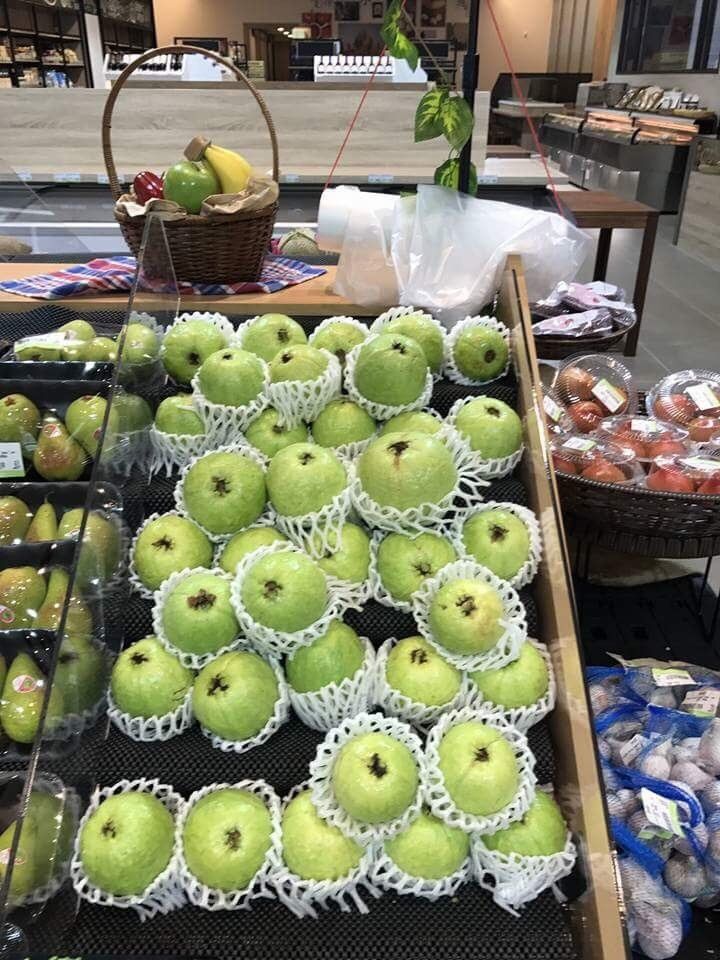 新鮮水果-芭樂一箱