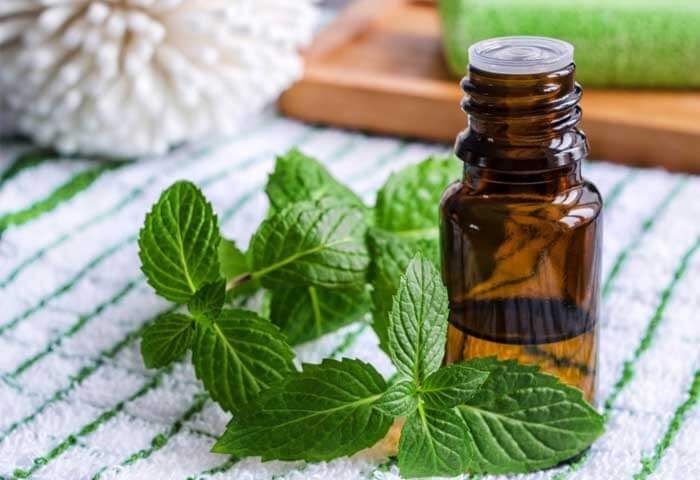 The Role of Aromatherapy Oil Blends in Achieving a Sustainable Beauty Regimen