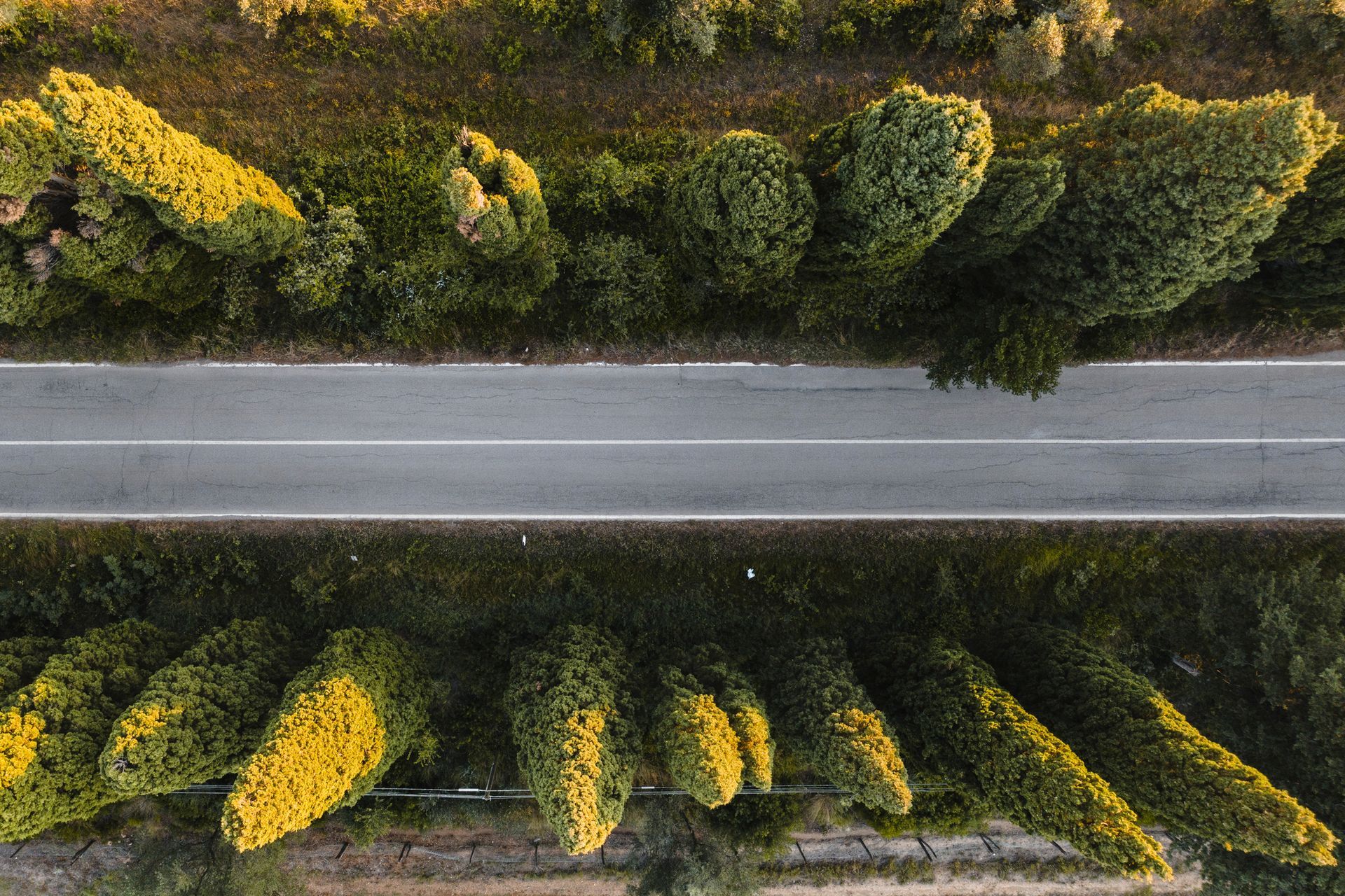 Una vista aerea di una strada circondata da alberi e cespugli.