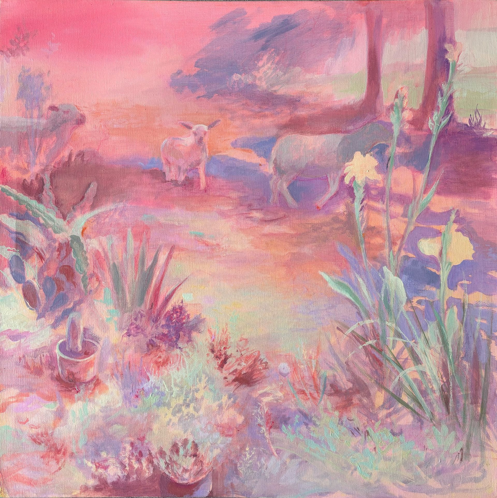 Corderito - Gilda Medina