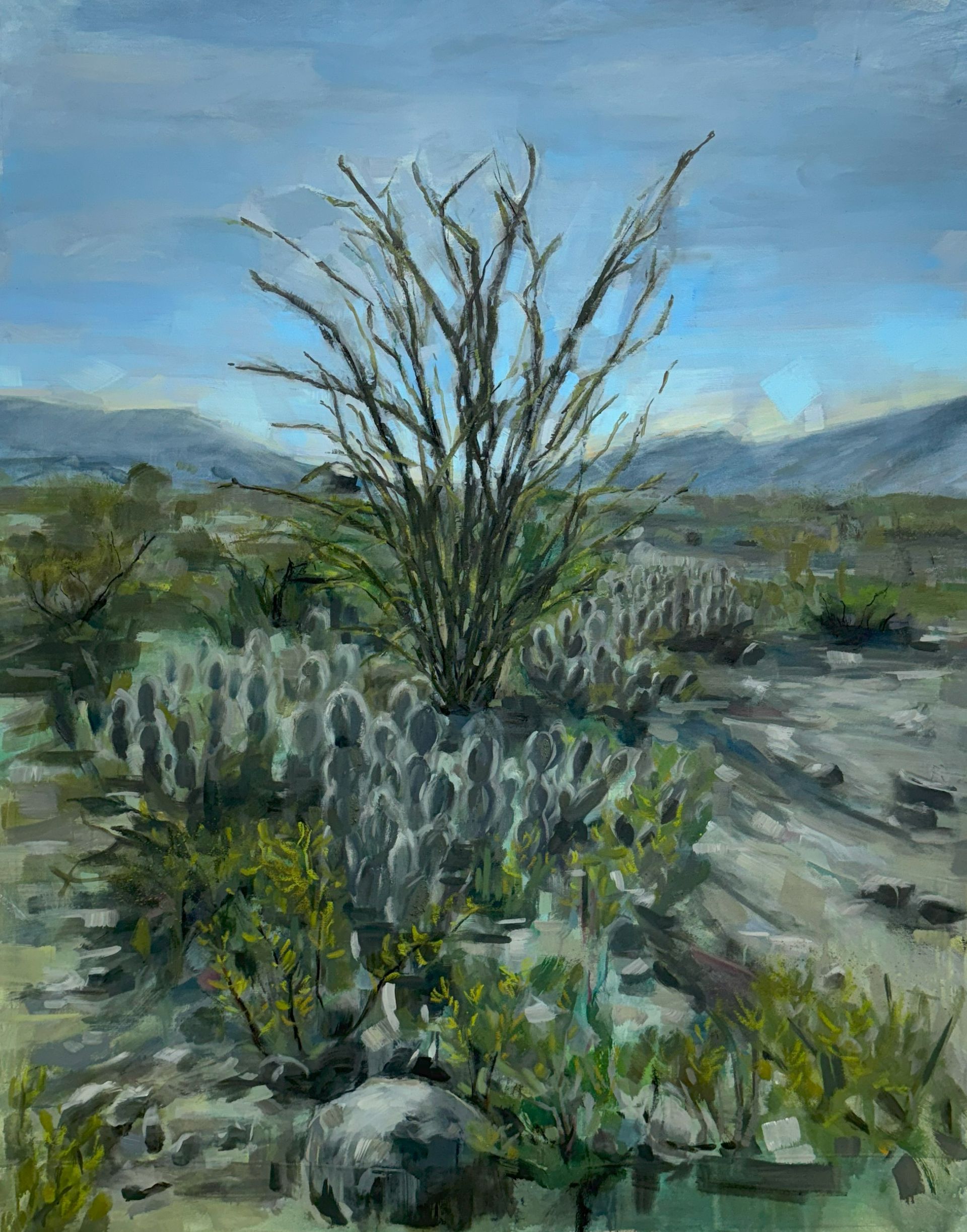 Estudio de campo III - TT Zarzar