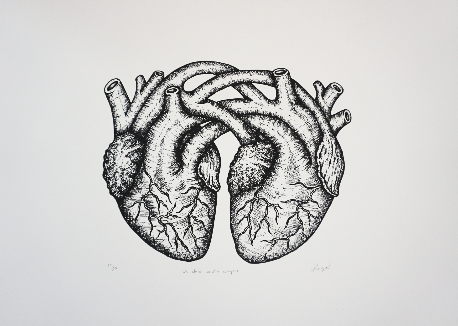 Un alma en dos cuerpos - Kuizon