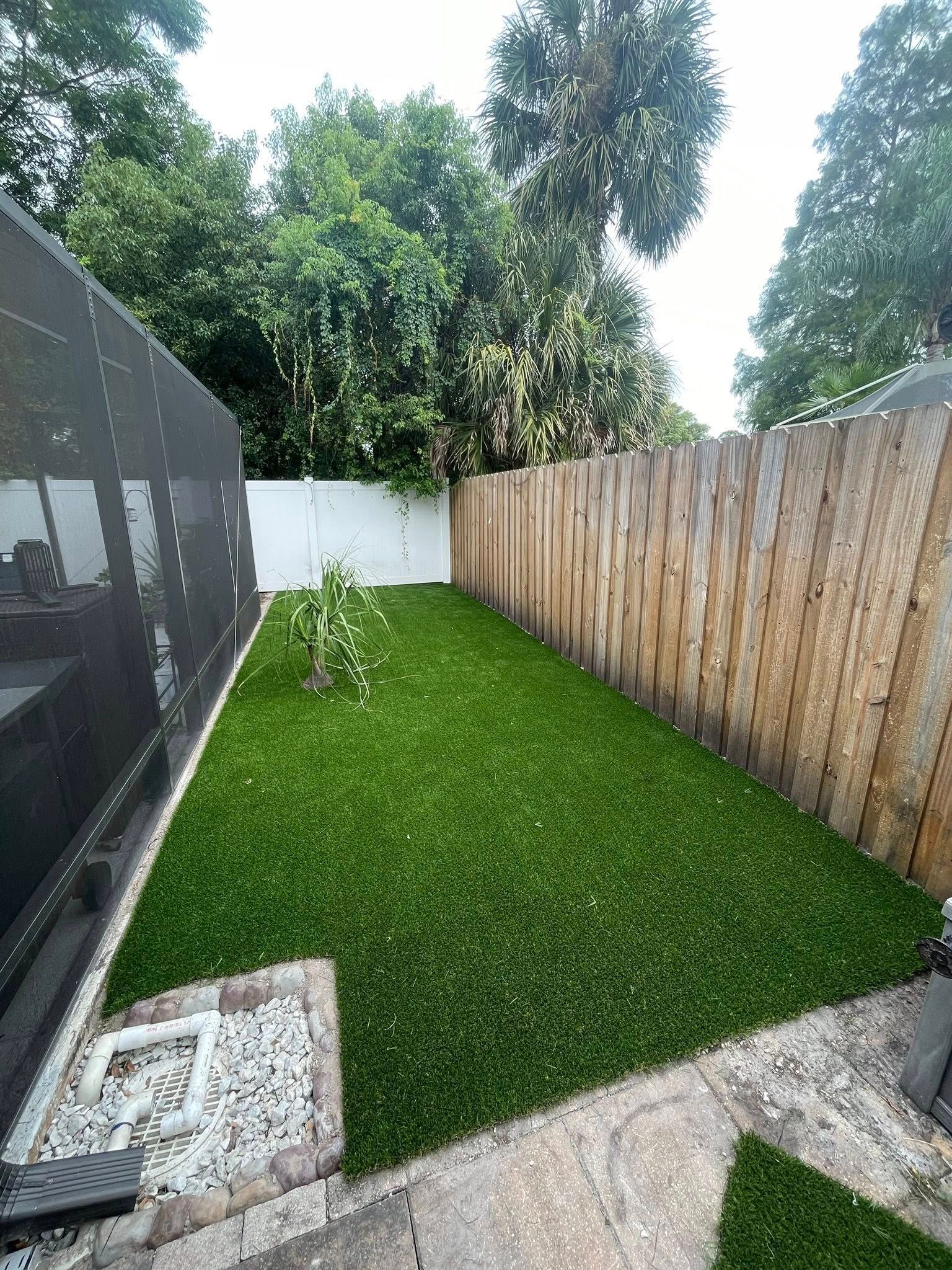 Green lawn bordered by wooden fence, concrete, and black screen.