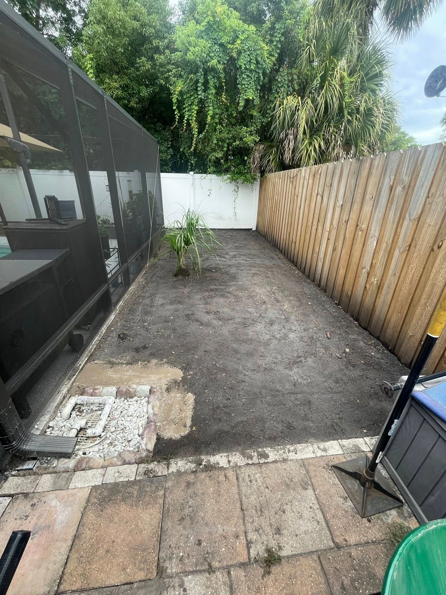 Backyard space with dirt, small plant, and wooden and white fences.